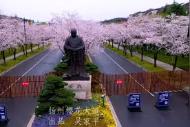 扬州市樱花大道视频封面