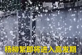 杨柳絮即将进入高发期，四个字教你做好防护！#抖音小助手 #dou是知识点 #涨知识 #生活小妙招视频封面