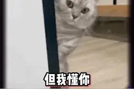 妹妹：“虽然我不懂英语，但我还不懂你？”#娱乐搞笑视频封面