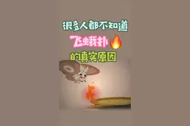 飞蛾喜欢扑火？假的啦！ #礼花蛋视频封面