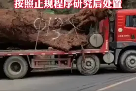 乐山一地挖出疑似乌木，当地镇府:已移交给县镇府，按照正规程序研究后处置。 #乌木 视频封面