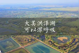 大美洪泽湖湿地，在这里你可以畅快深呼吸 #吾途有你水韵江苏视频封面