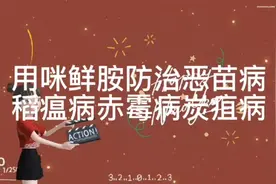 用咪鲜胺防治恶苗病稻瘟病赤霉病炭疽病视频封面