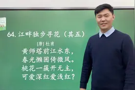 古诗词《江畔独步寻花(其五）》#萌知计划 #每天学习一点点视频封面