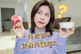 #养宠进阶指南 #狗狗 遛狗时间千万要选好视频封面