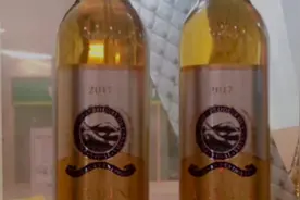 加拿大威代尔冰酒VQA认证性价比的王者，168/瓶[强][强]视频封面