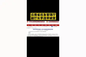 云南省应急管理厅党组成员、副厅长李连举涉嫌严重违纪违法，目前正在接受纪律审查和监察调查。视频封面