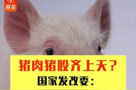 国家发改委：严惩哄抬猪肉价格，不具备持续大涨的基础！#财经 #理财 #股票 #基金 #猪肉 #牧原 视频封面