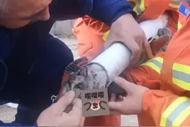 由于小狗比较不配合，消防员将管子往地上空着磕了几下，经震动小狗的身体向出口滑出了几公分，另一名消防员将小狗拽出。#辽宁消防  @阜新消防 视频封面