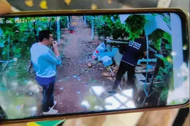 西昌群乐村，克伦生葡萄大棚监控安装完成，效果相当到位视频封面