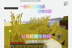 公告栏指令教程，下期想看什么？(不太肝的qwq) #我的世界