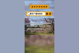 黄石广电早新闻，了解第一手本地资讯 #黄石 #新闻视频封面