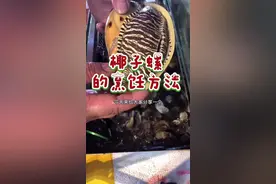 椰子螺的烹饪方法很多，个人觉得这种清淡的爆炒方式更能体现出椰子螺的原汁原味#舌尖上的美食#椰子螺@抖音短视频