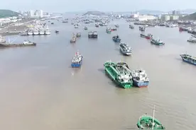 浙江舟山首批15艘远洋鱿钓船，奔赴北太平洋！等你们满载而归！（供稿：舟山广电）#浙江dou知道 视频封面