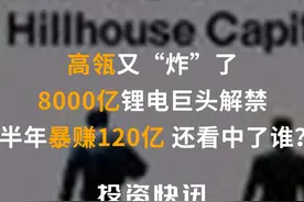 高瓴又炸了！8000亿锂电巨头解禁 半年暴赚120亿！还看中了谁？#高瓴资本#医药#绿叶制药#宁德时代视频封面