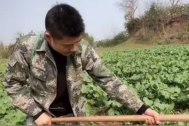 看见别人种的油菜都开花了，我咋就种上个你，连一点开花的动静都还没呢？@抖音短视频 #四川安岳视频封面
