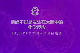 情绪不过是大脑中发生的化学反应，16页PPT说清楚神秘的神经递质视频封面