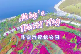 面朝大海春暖花开，厦门西海域的市花三角梅花海美如画，免费开放视频封面