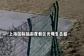 玩大了！父子俩做放大镜聚光实验，点燃2000平大草坪。视频封面