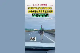 5月14日，云南石林，女子偶遇鸵鸟在高速路狂奔，网友：北方的朋友注意了，这是我们云南家养的土鸡（来源：@他是小羊嘿！）视频封面