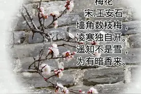 #小学生必背古诗 #梅花 #梅花译文和赏析视频封面