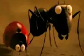 蚂蚁大战，红黑蚂蚁谁是赢家？#超燃 #战争#搞笑#蚂蚁视频封面