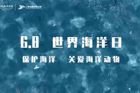 今日是第十四个世界海洋日，让我们一起携手，守护蔚蓝视频封面