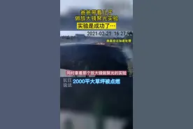 教科书诚不欺我！父子做放大镜实验点燃景区草坪  2000余平方米草坪全都遭殃#火灾视频封面