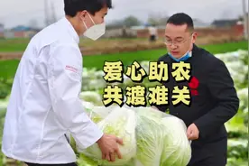 今年白菜滞销严重，几万斤的白菜烂到了地里！我们得知消息视频封面