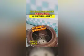 男子给坐月子老婆炖回奶药 老婆喝完才发现 老公连干燥剂一起炖了