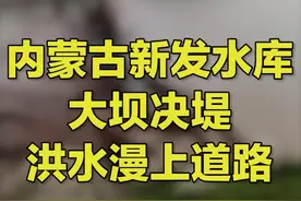 内蒙古新发水库大坝决堤，洪水漫上道路，当地组织挖掘机进村救援视频封面