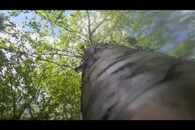 海林市综合高中欢迎您#最美校园 #梦开始的地方 #