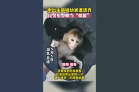 猕猴幼崽刚出生就遭“遗弃”，民警以警帽为摇篮帮其找妈妈。#暖心视频封面