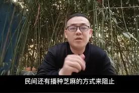 竹子生命顽强，难以除根，可以视频这几个民间常用的小妙招 #三农 #农业种植 #农资人 #新农人 #种植 #农业技术 #三农笔记 #涨知识 #新农人计划2021 @三农笔记「田秘书农业」