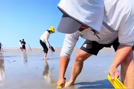 趁着现在天还不算太热，来启东黄金海滩玩吧！#赶海 #启东圆陀角 #启东黄金海滩视频封面