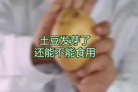 土豆发芽了还能不能食用 #实验  #食品  #土豆  #科普  #土豆泥视频封面