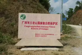 岑王老山自然保护区地处云贵高原和广西盆地结合部，属中山地貌视频封面