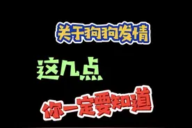 #养狗 关于狗狗发情，这几点你知道几个？第3点养母狗的注意啦！#狗狗发情 #养宠进阶指南视频封面