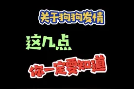 #养狗 关于狗狗发情，这几点你知道几个？第3点养母狗的注意啦！#狗狗发情 #养宠进阶指南视频封面