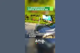 工人劳作时被竹叶青咬伤 交警开启“生命救护绿波”机制#交警 #正能量#你好守护者联盟 @公安部交通管理局 @新闻夜班 视频封面