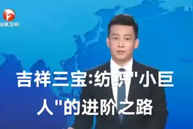吉祥三宝:纺织小巨人的进阶之路视频封面
