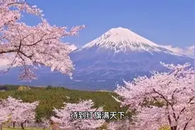十亿青年十亿兵，儿孙自有虎狼旅，跃马扬刀垮东京#创作灵感视频封面
