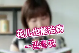 雪中四友迎春花，没想到它还能这么用#花 #健康 #科普 #迎春花 #清风计划 @抖音短视频