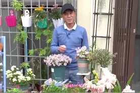 2022倒春寒，今年夏天不会热，怕热植物大概率能度夏视频封面