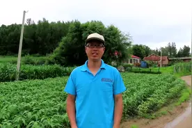 东北农村为何很多家庭没有大门？不怕丢东西？治安这么好？#东北视频封面