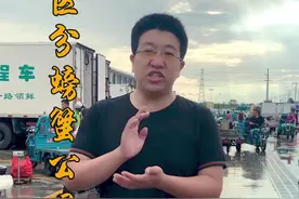 如何区分螃蟹的公母？这个季节应该选哪种？ #螃蟹  #海鲜料理   @吃垮烟台