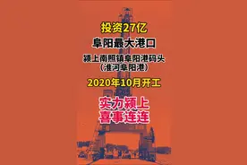 阜阳最大港口建在颍上南照#安徽颍上 #港口 #物流园视频封面
