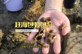 赶海到底怎么赶？视频看完包教包会。海螺大丰收！#青岛旅游攻略视频封面