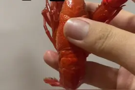 粉丝们久等啦！美味小龙虾送给你们🦞🍺#素描 #教程 #来支铅笔素描系列教程 @DOU+小助手视频封面