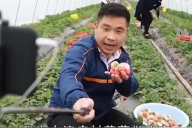 我为家乡代言——张美珠：请大家来尝尝俺们大流店村的草莓🍓！视频封面